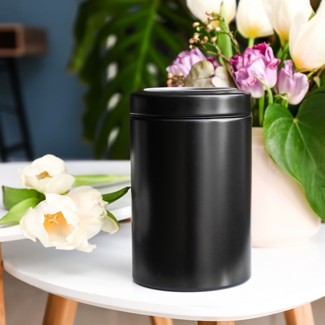 Untitled design - 2025-06-12T182339.656