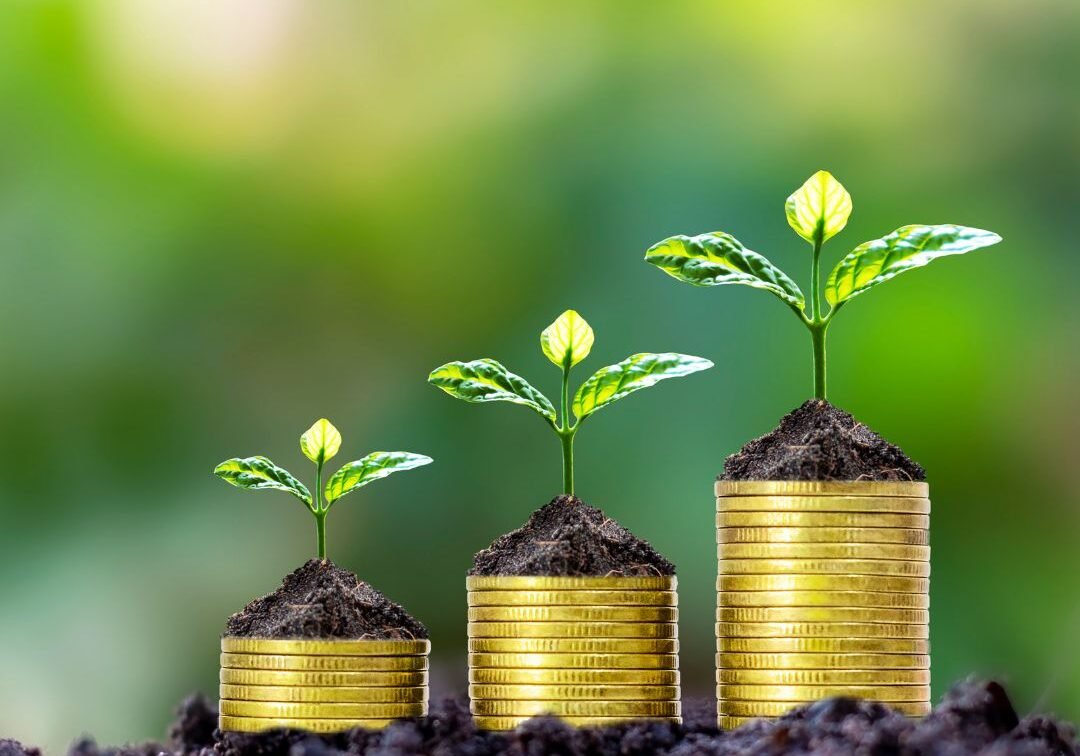 Untitled design - 2025-06-12T185404.985